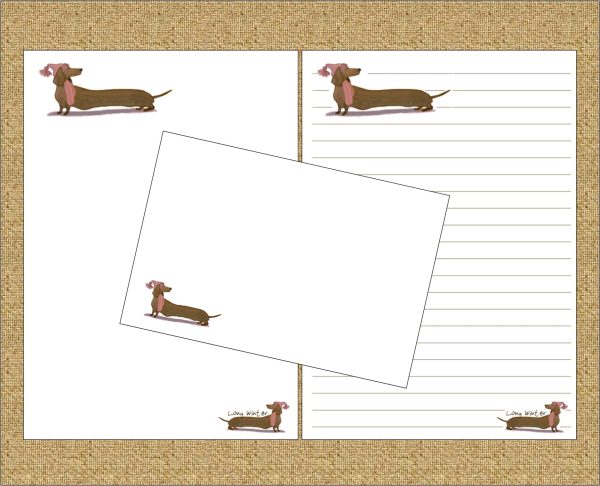 'Long winter Dachshund'