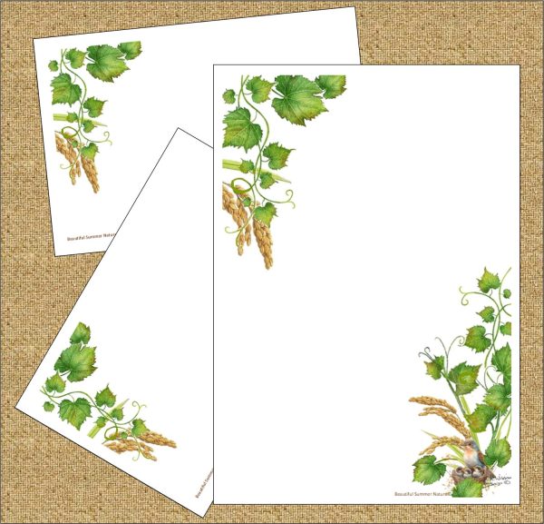 'Beautiful Summer Nature'