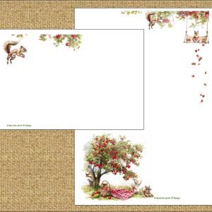 'A Squirrels Picnic'