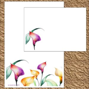 Just colourful lilies "Just Colourful Lilies"