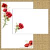 "Poppy Red Delight Celebration"