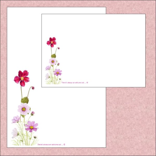 "The odd one out flower"......