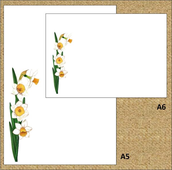 "Daffodil White Delight!