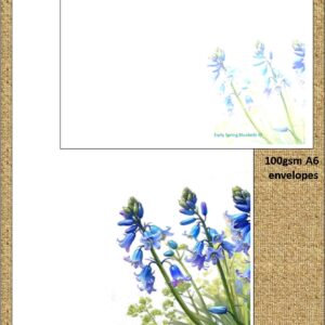 Early Spring Bluebells no lines "Early Spring Bluebells"