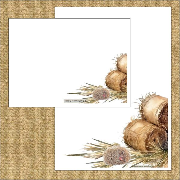 "Sleeping Farm Hedgehog"