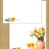 "Daffodil Collector"