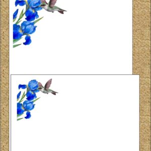 Humming Bird Pleasure main pic no lines "Humming Bird Pleasure"