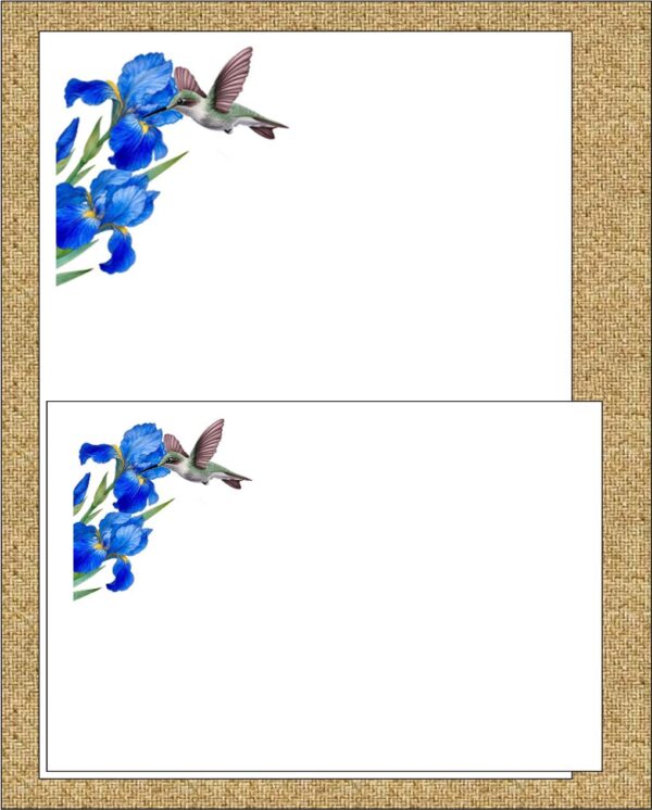 "Humming Bird Pleasure"