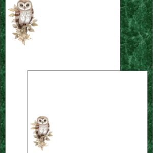 Lone observing owl set not lined "Lone Observing Owl"