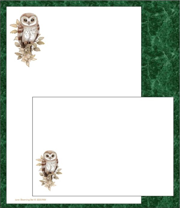 "Lone Observing Owl"