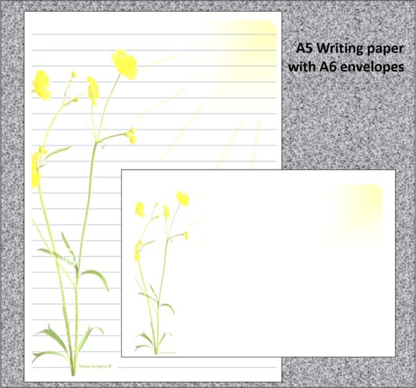 "Yellow Sunburst Flowers"