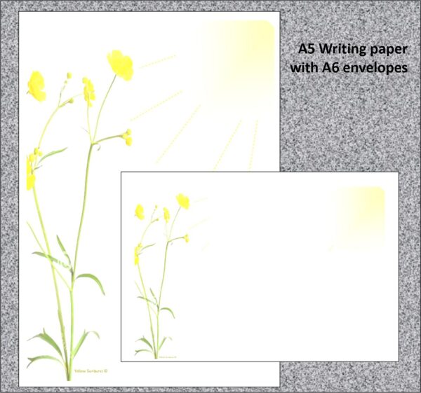 "Yellow Sunburst Flowers"