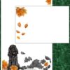 "Autumn Black Cocker Spaniel"
